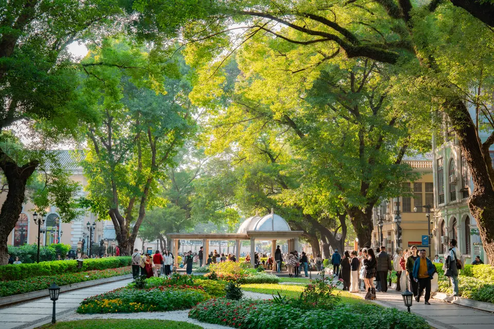Navigating Cary with Local Expertise — Cary, NC